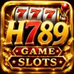 H789 Game