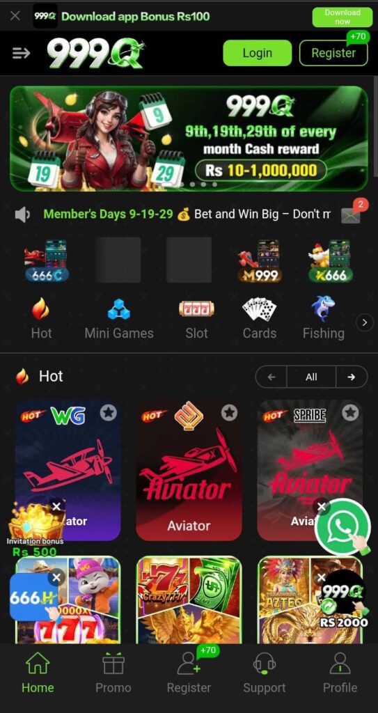 999Q Game