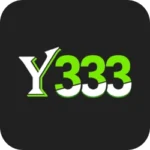 Y333 Game